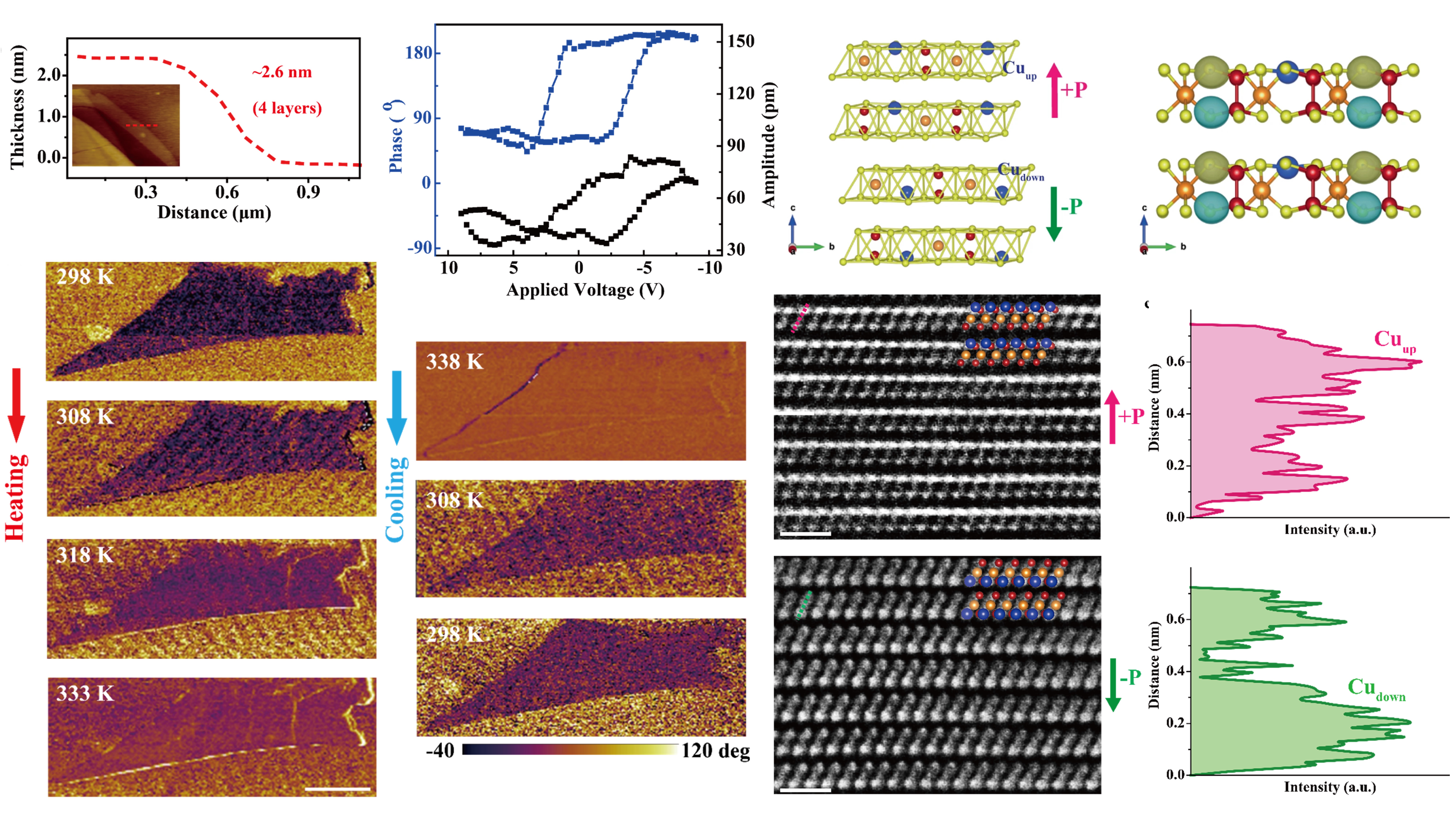 Ferroelectricity in 2D layered CuCrP2S6