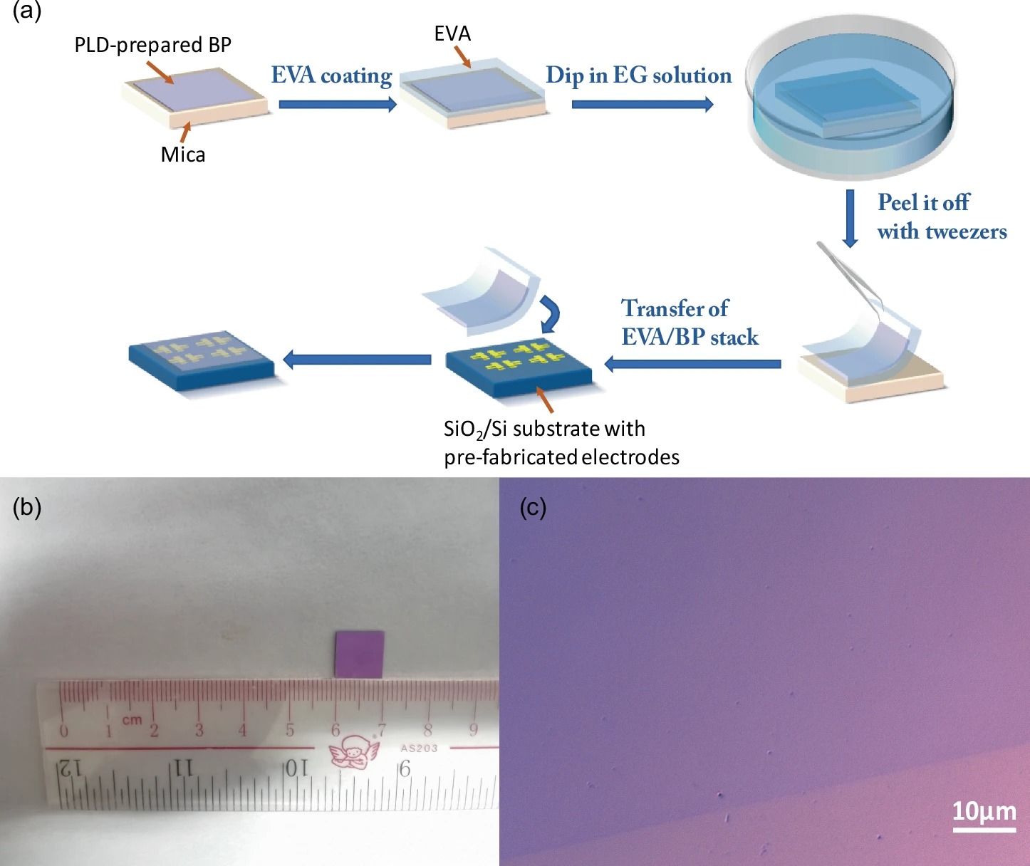 A clean transfer approach to prepare BP multilayers