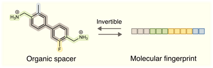 Science Advances graphical abstract