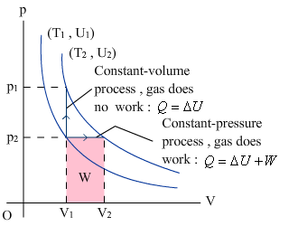 College Physics (AP101)